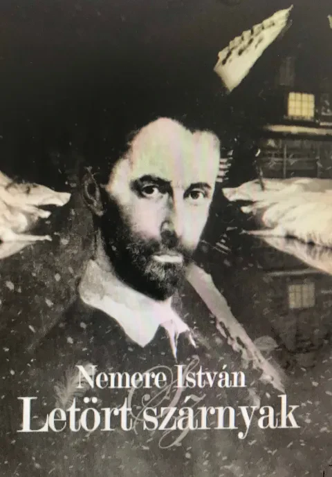 Letört szárnyak borítója