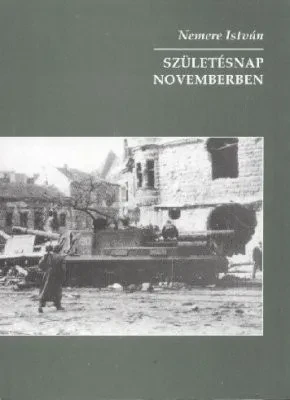 Születésnap novemberben borítója