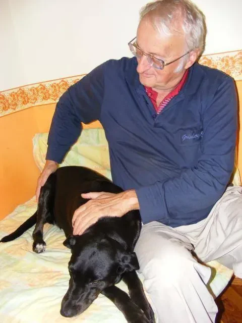 Majával